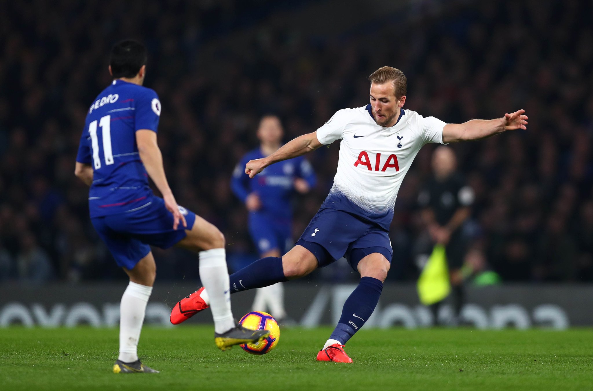 他的职业生 他的职业生